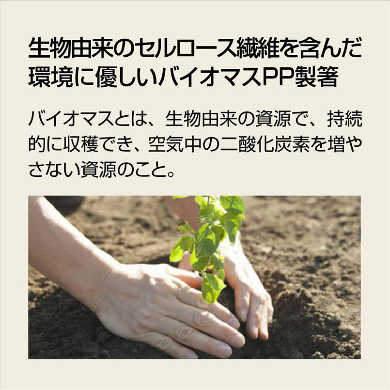 22.5cm四角箸 緑 H72 GN